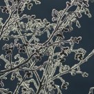 Frozen